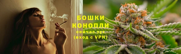 PSILOCYBIN Бронницы